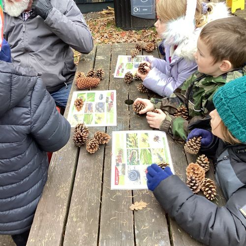 We had a wonderful time visiting Cannock Chase, learning all about animals and their habitats.