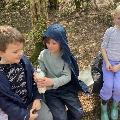 KS1 Forest School